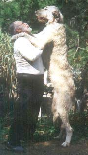 godfrey-up.jpg (12812 bytes)