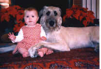 mo-yetmaevet.JPG (5611 bytes)