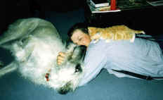 mo-yettwink1t.JPG (4734 bytes)