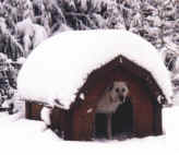 mo-yettwink2t.JPG (4041 bytes)